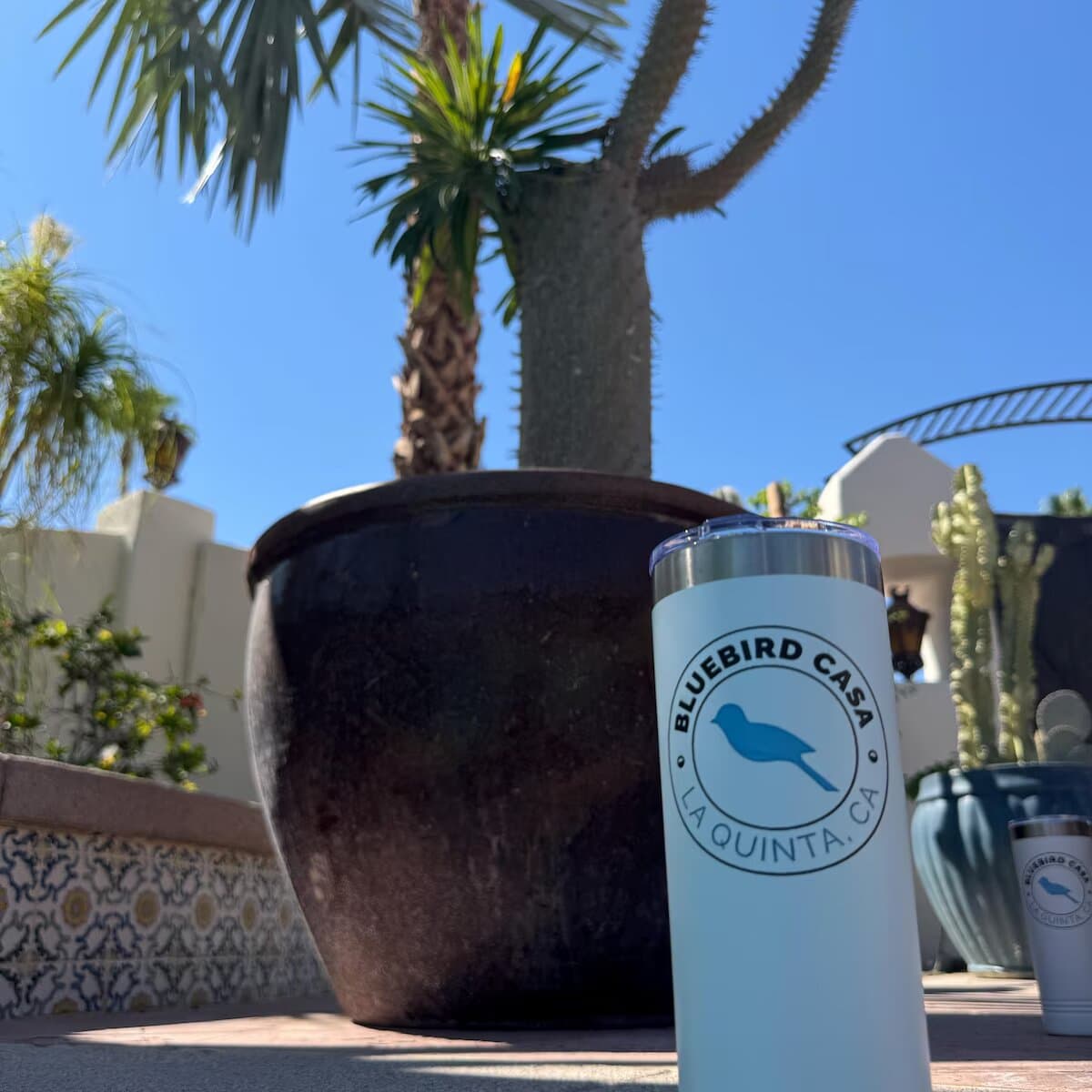 Bluebird Casa Quinta wine tumbler outdoors